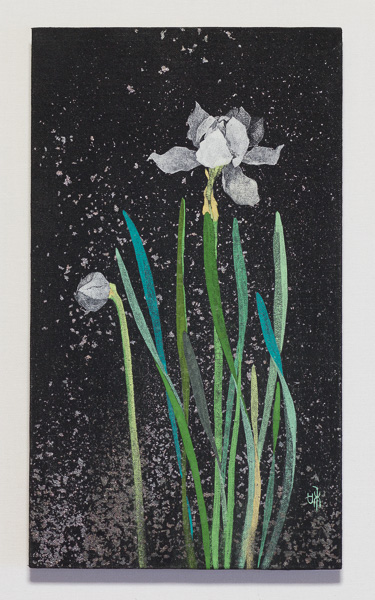 スイセン　
－Narcissus－　　M4　33.4×19.1cm　　2010
