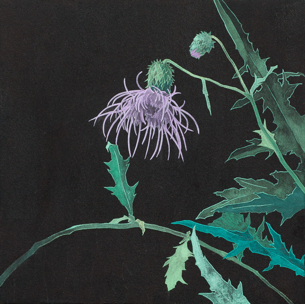 野アザミ　　30×30㎝　　2008